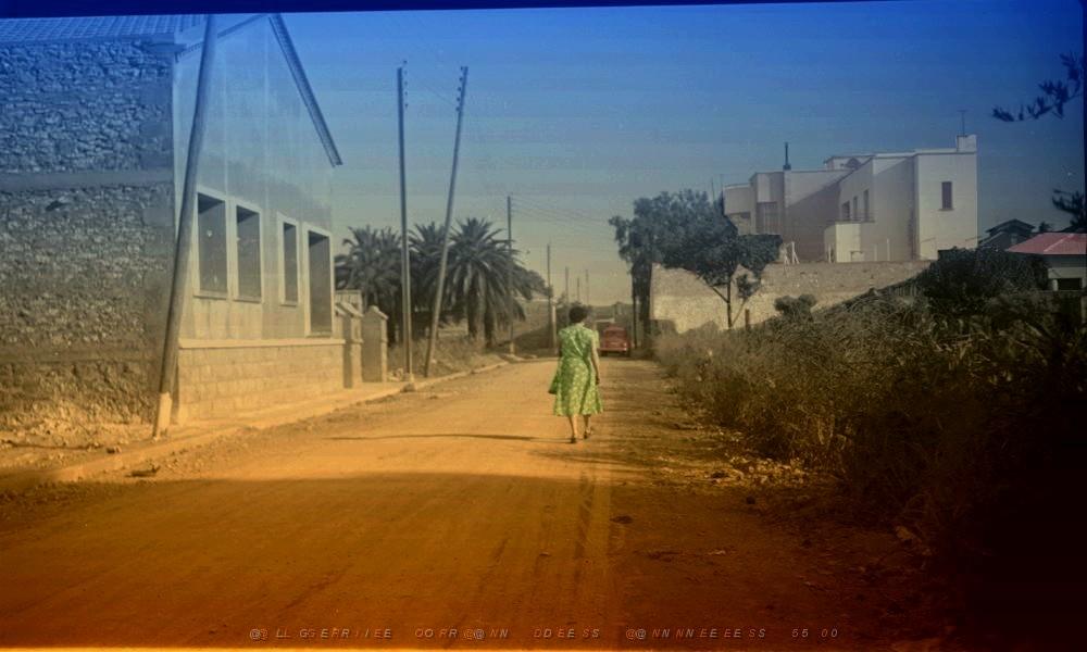 SIDI BEL ABBES XHL RUE DOUAUMONT 1956 NORD SUD.jpg